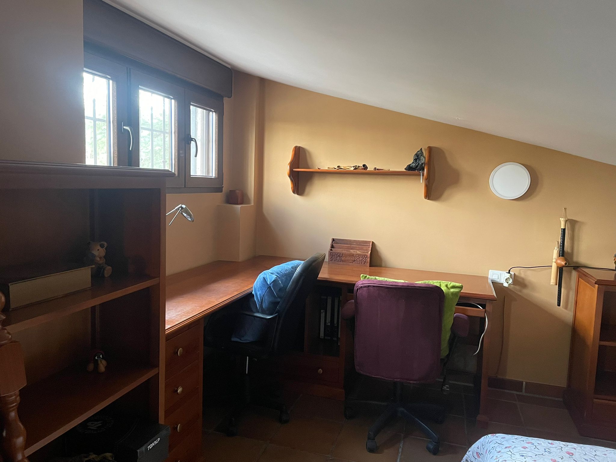 Zona de estudio