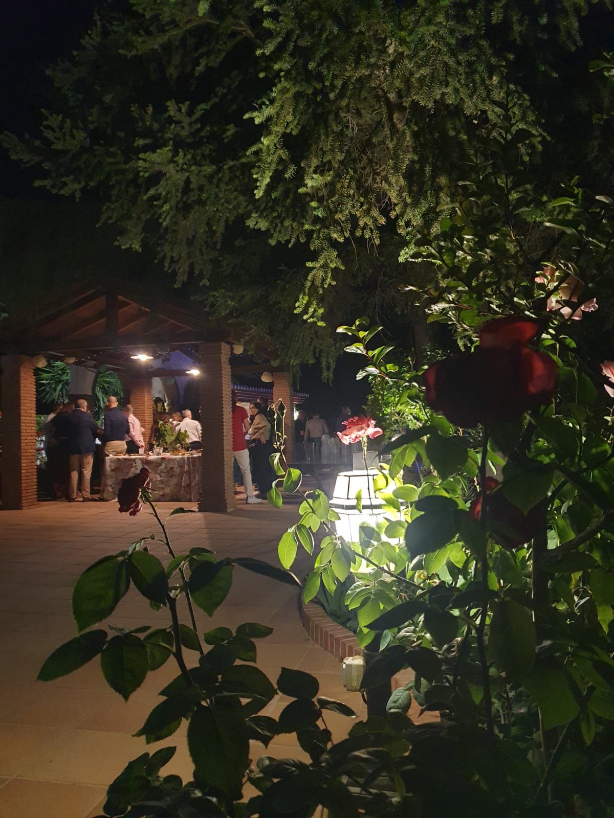 Noche en la Finca