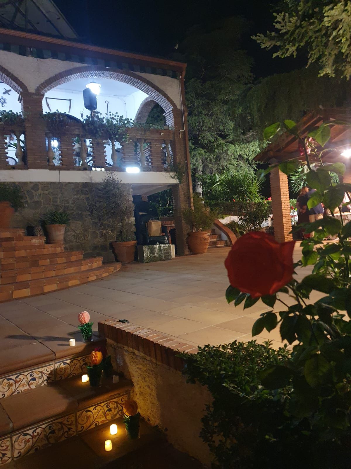 Detalles Nocturnos