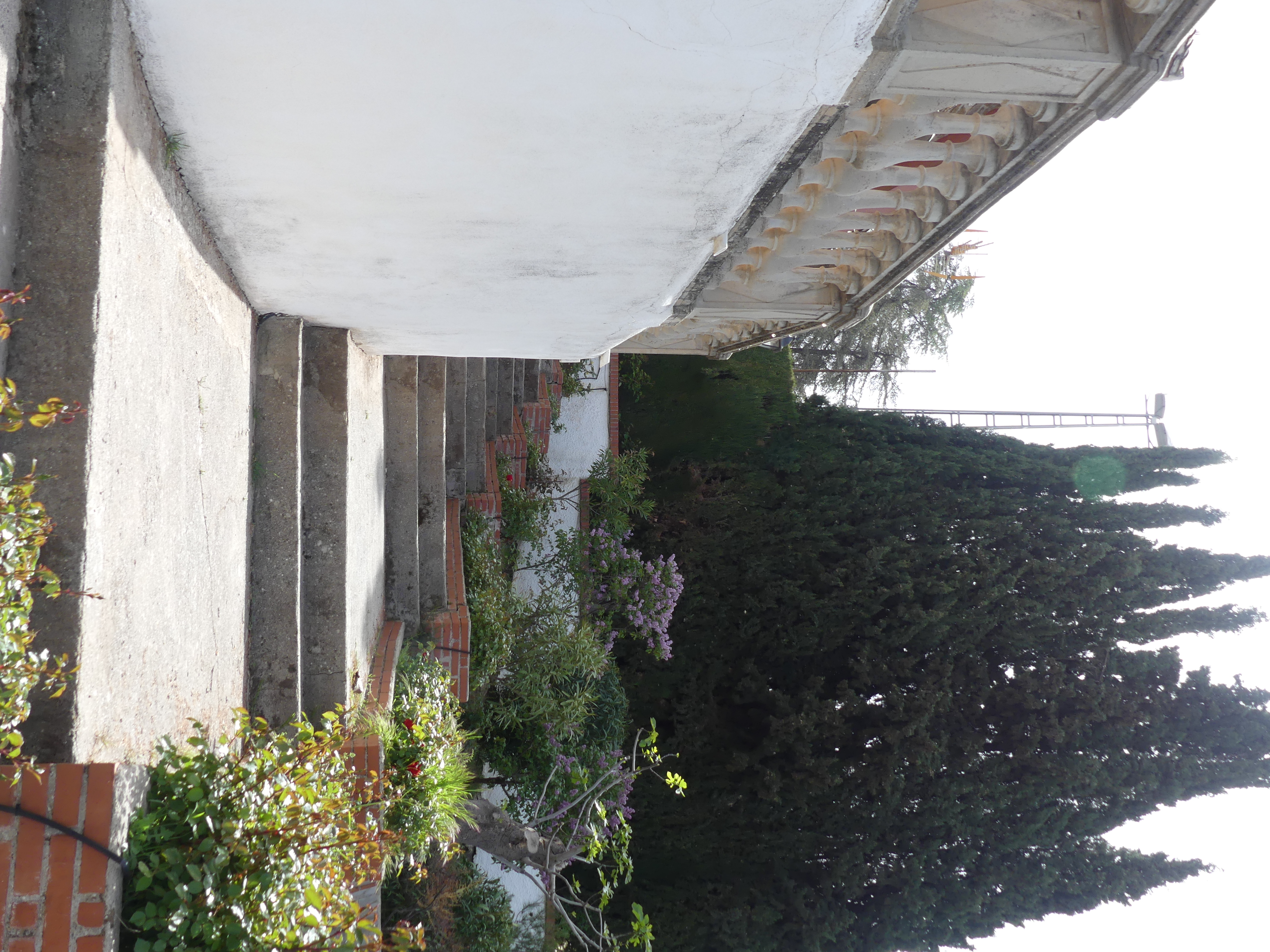 Patio trasero